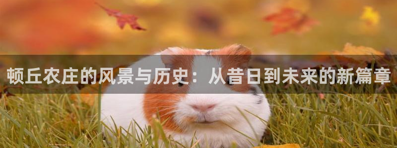 白宫摩根娱乐会所