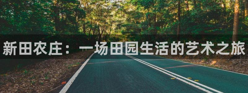 摩根娱乐挂机项目是什么