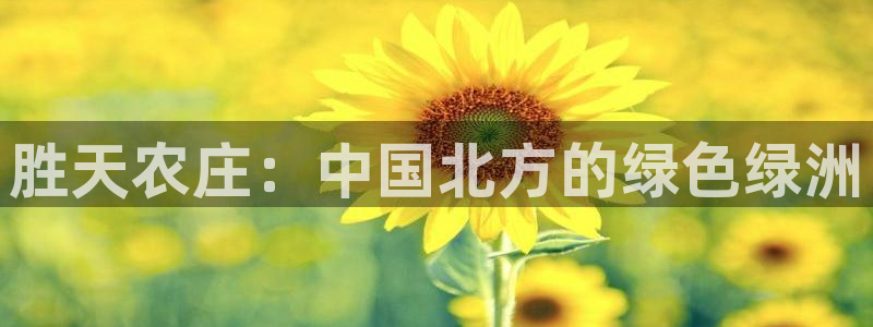 摩根国际娱乐宝