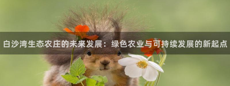 义乌摩根娱乐消费多少