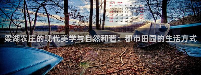 摩根娱乐是什么模式