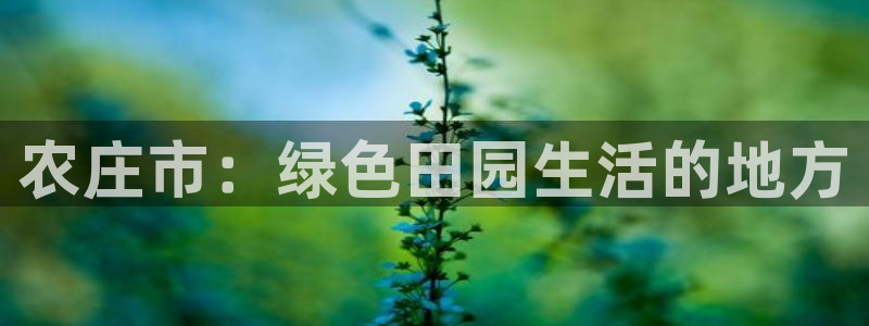 摩根娱乐总部在哪里