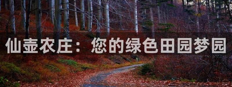 摩根国际娱乐宝下载