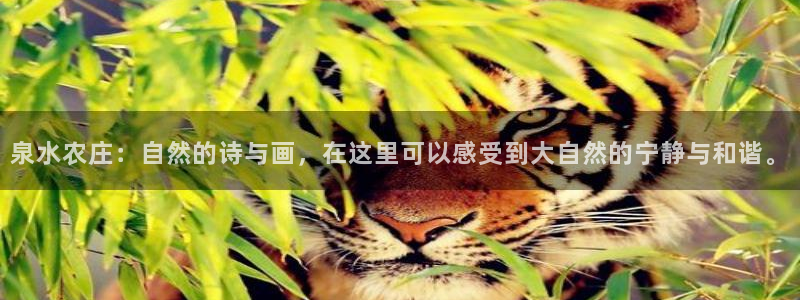 义乌摩根娱乐会所收费