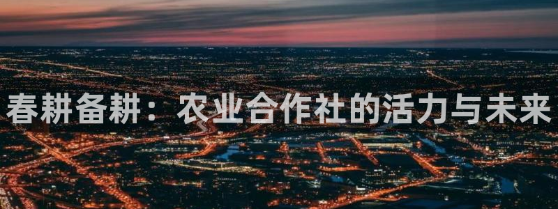 摩根娱乐挂机项目是什么