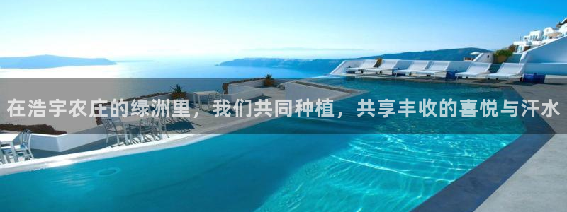 摩根大通黄金娱乐