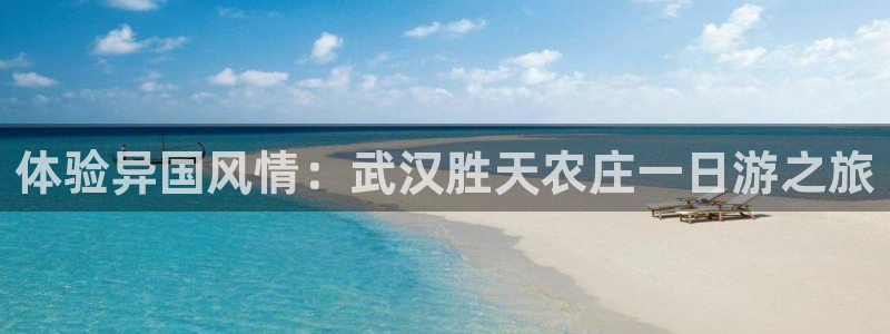 娱乐解说摩根王者荣耀