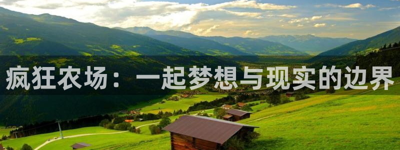 摩根娱乐宝怎么赚钱